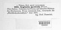 Mycosphaerella pyri image